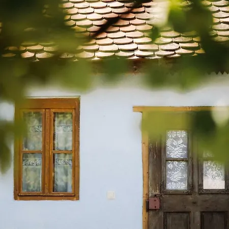 Maison d'hôtes La Mama Anica à Porumbacu de Sus Extérieur photo