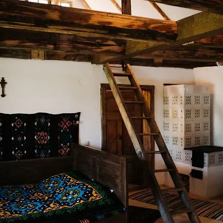 Maison d'hôtes La Mama Anica à Porumbacu de Sus Extérieur photo