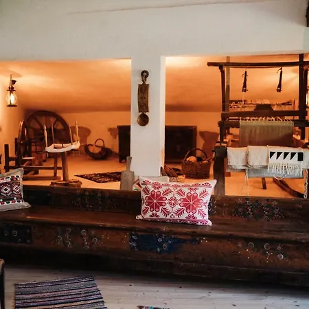 Maison d'hôtes La Mama Anica à Porumbacu de Sus Extérieur photo
